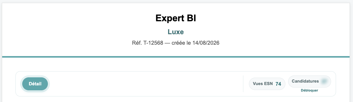 Aperçu option